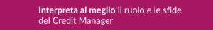 Credit Manager nelle Utility