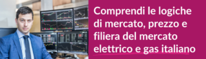 Mercato Energia Elettrica e Gas