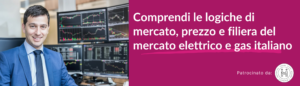 Mercato Energia Elettrica e Gas