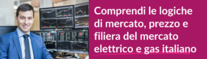 Mercato Energia Elettrica e Gas
